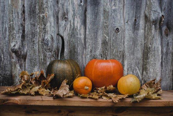 Autumn Still Life Concept Pumpkins: Elevating Seasonal Decor with High-Resolution Visuals