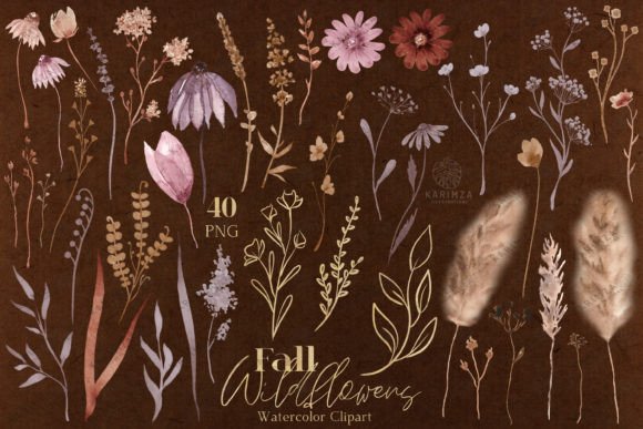Watercolor Fall Dry Flowers Clipart PNG